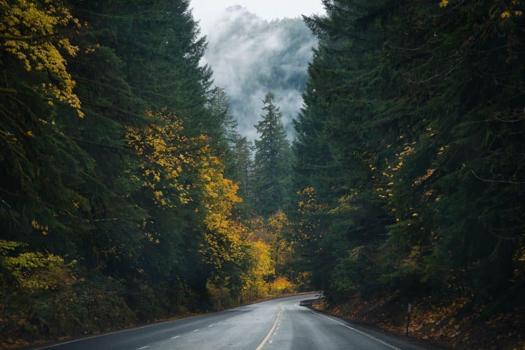 oregon roads amp; autumn near Chapter Eugene Oregon Apartments